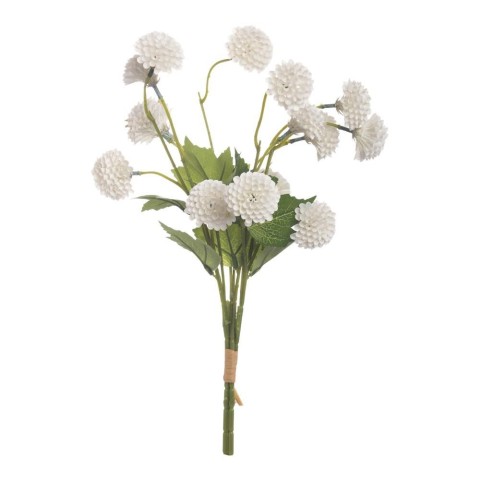 BUNDLE MARIGOLD x 3 CM.56 BIANCO